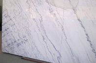 Хигх-денситы мраморные панели стены для ливней/комнаты, белого мраморного настила плиты