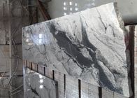 Серый цвет Вайнс естественные каменные плотность гранита плиток 2,95 стены плит высокая